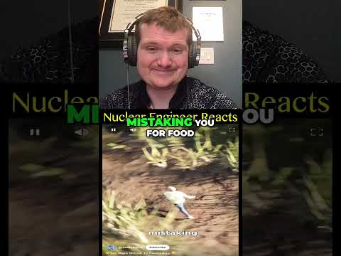 What If You Shrunk to Insect Size? - Nuclear Engineer Reacts to Zack D. Films