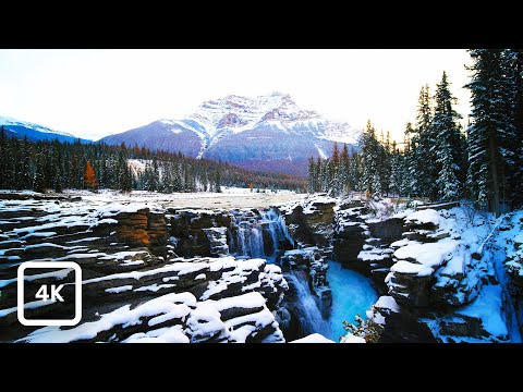 Snowy Mistaya Falls Winter Ambience | Banff National Park Waterfall White Noise | Canadian Rockies