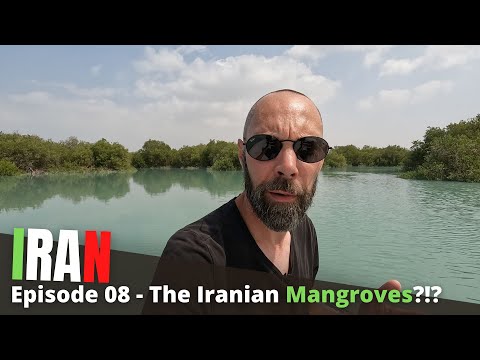 Mangroves? Is this REALLY IRAN?! Qeshm Island in the Persian Gulf (Travel Vlog)