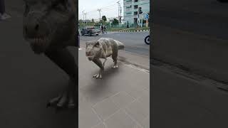 น้องไม่ดุแน่นะวิ #shorts #dinosaur #rapter #ไดโนเสาร์