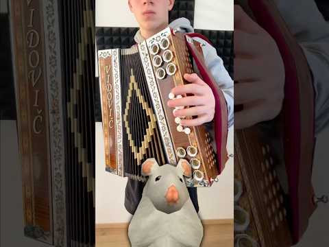 Rat dance meme on 13 cool instruments!