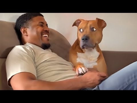 When Your Dog is the Funniest Family Member! 😄 Funny Dog and Human Video 2025