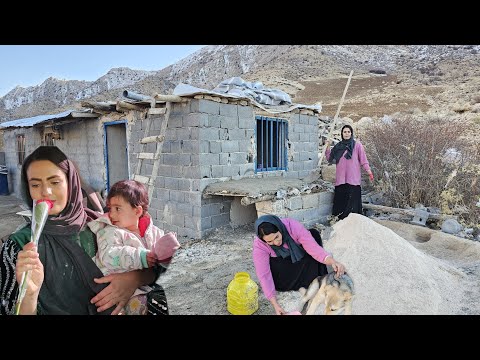 Documentary on Nomadic Life:A Quiet Day at Parisa's House; When Love Built the Roof of Rocky's House