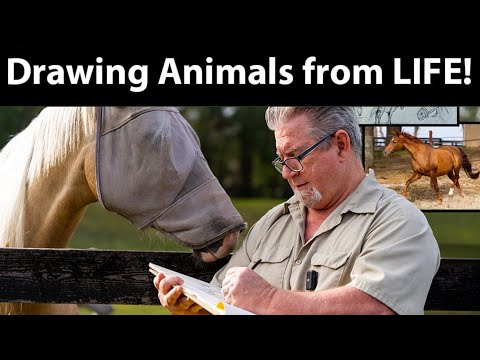 Drawing Animals From Life Sneak Peek - Drawing Horses On Location