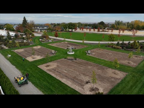 Planting 12 Linden Trees to Begin the Formal Flower Garden! 🌳🌳🌳 // Garden Answer