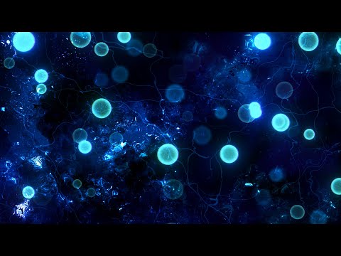 Blue Particles and Textures Background video | Footage | Screensaver