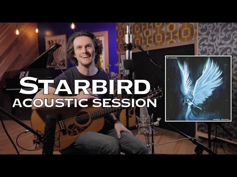 Corey Heuvel // STARBIRD Acoustic Session