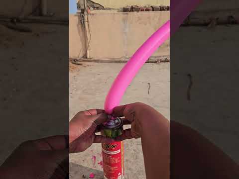 Holi Long Balloon Experiment