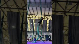 The best feeling 🦋  #circus #aerialsilks #aerial #circusartist #artist  #shorts  #fyp