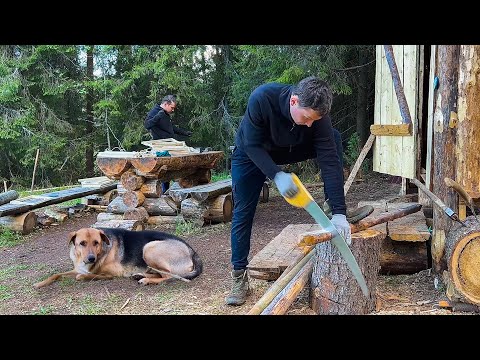 Off-Grid Log Cabin. Living in the Forest with Dog. Cooked food outdoors. Set up bee traps