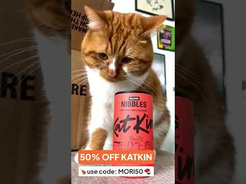 Have you seen Mori starring in KatKin ads? 😸 50% OFF KatKin 🍗 fresh food for cats 😻 use code: MORI50