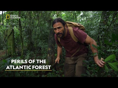 Hazen’s Jungle Quest | Primal Survivor: Over the Andes  | हिंदी | Full Episode | S1 - E1 | Nat Geo