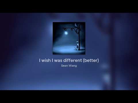 I wish I was different (better)