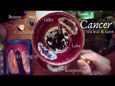 CANCER ♋︎ YOU ARE IN THE DRIVERS SEAT 𓇣 MID JANUARY 2025 PSYCHIC TAROT 𓇣 TEA LEAF READING