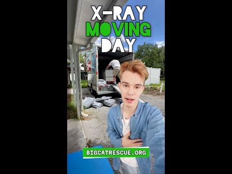 Xray Moving Day