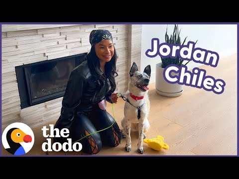 Jordan Chiles Goes On A Dodo Dream Date | The Dodo