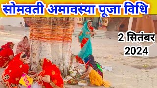 सोमवती अमावस्या पूजा विधि‌ 2024 || somvati amavasya Puja vidhi...