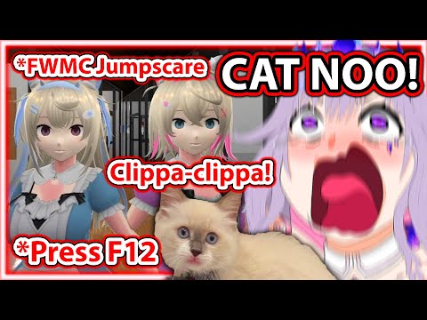 Biboo's IRL Cat Spams Screenshots After Biboo Got Jumpscared by FUWAMOCO 【Hololive】