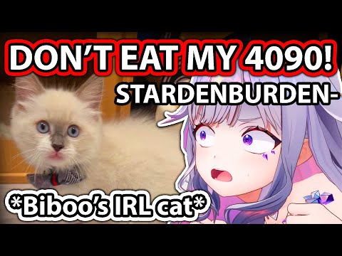 Biboo's IRL Cat Interrupts Her Stream and Her Reaction Is Too Cute 【Hololive】