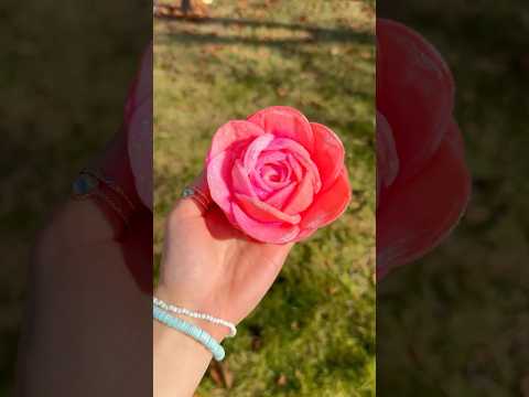 DIY COTTONPAD FLOWER Tutorial! 😱🌸 *Cute Gift Idea* 🌹