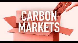 Empowering Communities Through Carbon Markets