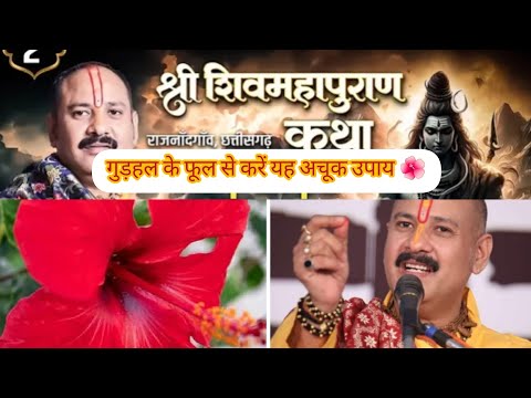 day - 2 ll श्री शिवमहापुराण कथा🌿🙏 #  #pandit_pradeep_ji_mishra #राजनांदगांव , छत्तीसगढ़ viralvideo