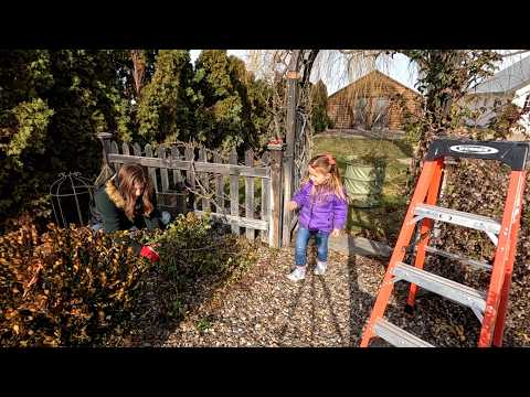 Pruning Climbing Roses & Potting a Gorgeous Bamboo! 🌹✂️🌿 // Garden Answer