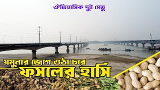 যমুনার চরের বালিতে ভাগ্য খুলেছে বাদাম চাষিদের | Raaz Agro