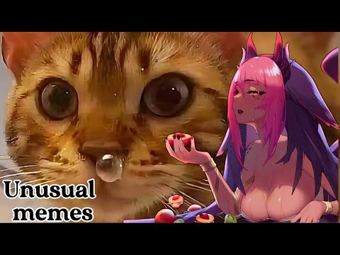 Trickywi reacts to unusual memes compilation | Try to not laugh