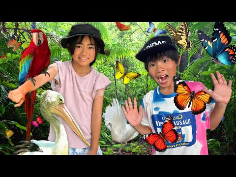 かえであーたんはバード＆バタフライパークへ探検に行くよ！＊バリ島　Kaede and Ahtan explore Bird and Butterfly Park in Bali