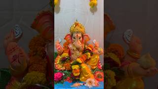 Bappa 😍🌺❤️ #Bappa #gnpatibappamorya #moryamajha #ganesha #ganpati #bappalover #amchabappa