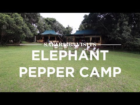 Elephant Pepper Camp, Masai Mara, Kenya | Safari365