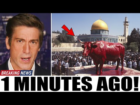 The Temple Prophecy is Coming! Strange Things JUST Happening in Jerusalem