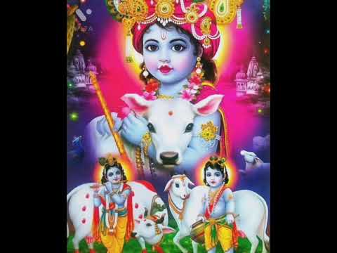 Achyutam Keshavam Krishna Damodaram | krishna bhajan | अच्चुतम केशवं कृष्ण दामोदरं भजन