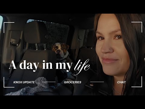 Vlog: Knox surgery update! Day in the life & project updates!