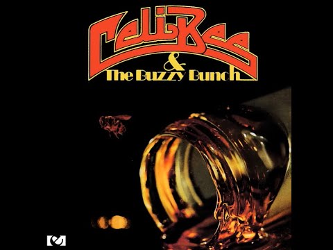 Celi Bee & The Buzzy Bunch...Superman...Extended Mix...