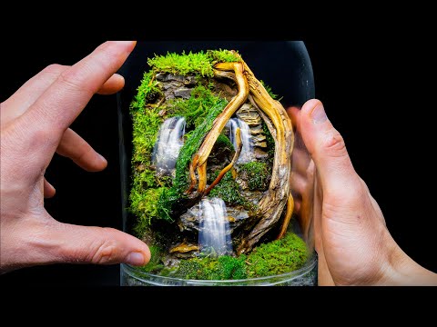 Mini Flowing Moss Waterfalls in a Jungle Cloche Terrarium