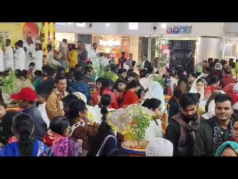 Tulsi poojan diwas Aashima mall Bhopal #bhopal #bhopalnews#tulsipoojan#tulsipooja#ashram#asharambapu