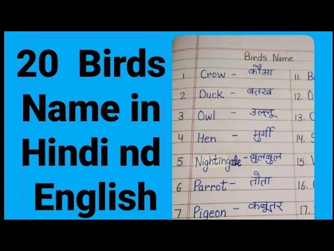 Birds Name in Hindi & English | पक्षियों के नाम हिंदी व अंग्रेज़ी में |  #OM STUDIES