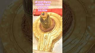 @श्री काशी विश्वनाथ#ज्योतिर्लिंग#दिव्य#श्रृंगार आरती#दर्शन#shorts#video#baba#Kashi Viswanath#Mahadev