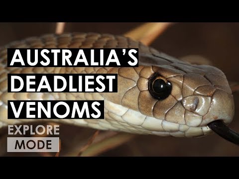 Australia’s deadliest animals | World’s Deadliest Venoms | EXPLORE MODE