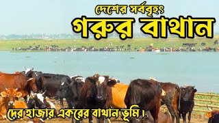 বাংলাদেশে এককভাবে সর্ববৃহৎ গোচারণভূমি হিসেবে বিবেচিত শাহজাদপুরের বাথানভূমি ।Raaz Agro