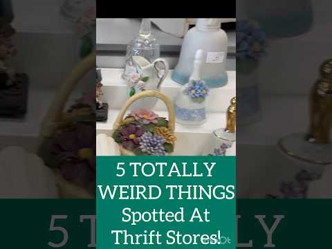 WEIRDEST THNGS Seen at Thrift Stores! #shorts #shortsyoutube #short