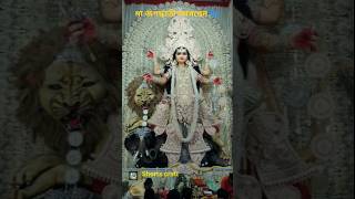 Jagadhatri Puja Status|Jagadhatri thakur video|Jagadhatri thakur status|#jagadhatri#feeds#shorts