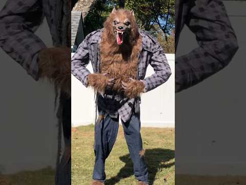 Werewolf JUMPSCARE #halloween2024 #spookydecorations #halloweendecorations #spookydecor #halloween