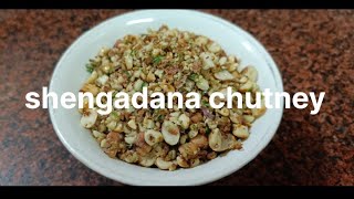 एकदा नक्की करून बघा अशी शेंगदाणा चटणी // shengadana chutney // #marathipadarth #chutneyrecipe