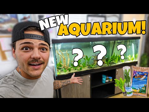 We FINALLY bought a 125G Community FISH TANK!!