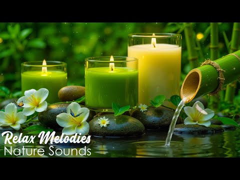 Relaxing Spa Music • Gentle Sounds of Water 🌳 Relieves Stress and Anxiety