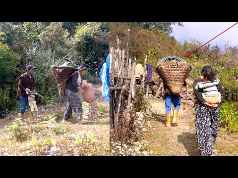 manjita & somuhang joining water pipe from jungle man's shed || shepherd life of Nepal ||