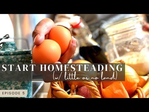 How to Homestead with little or NO Land | Start Urban Farming and Learn to Homestead without land!